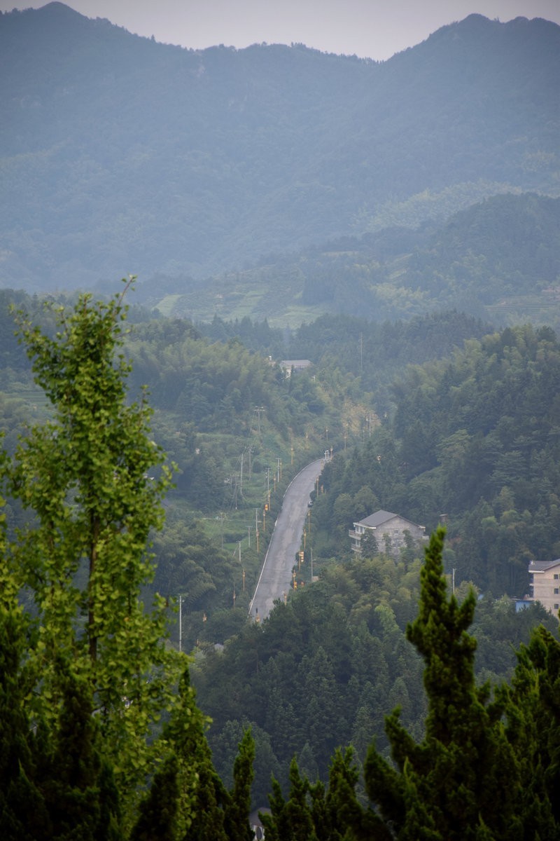 漫步星城 走街串巷（369）世界上最大的千手观音