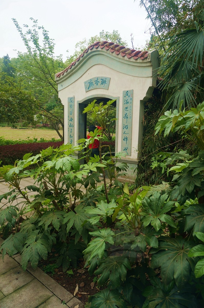 雕像额联*牡丹园——武汉随笔