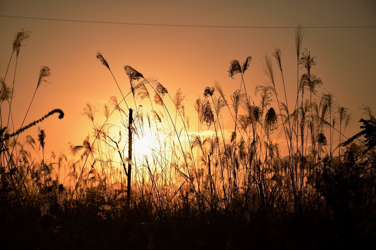 漫步星城 走街串巷（408）户外茶馆