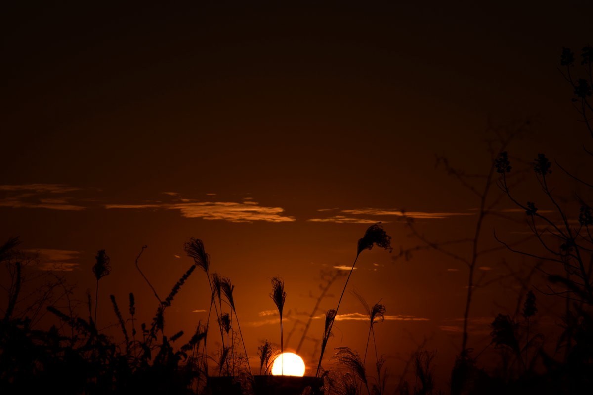 漫步星城 走街串巷（408）户外茶馆