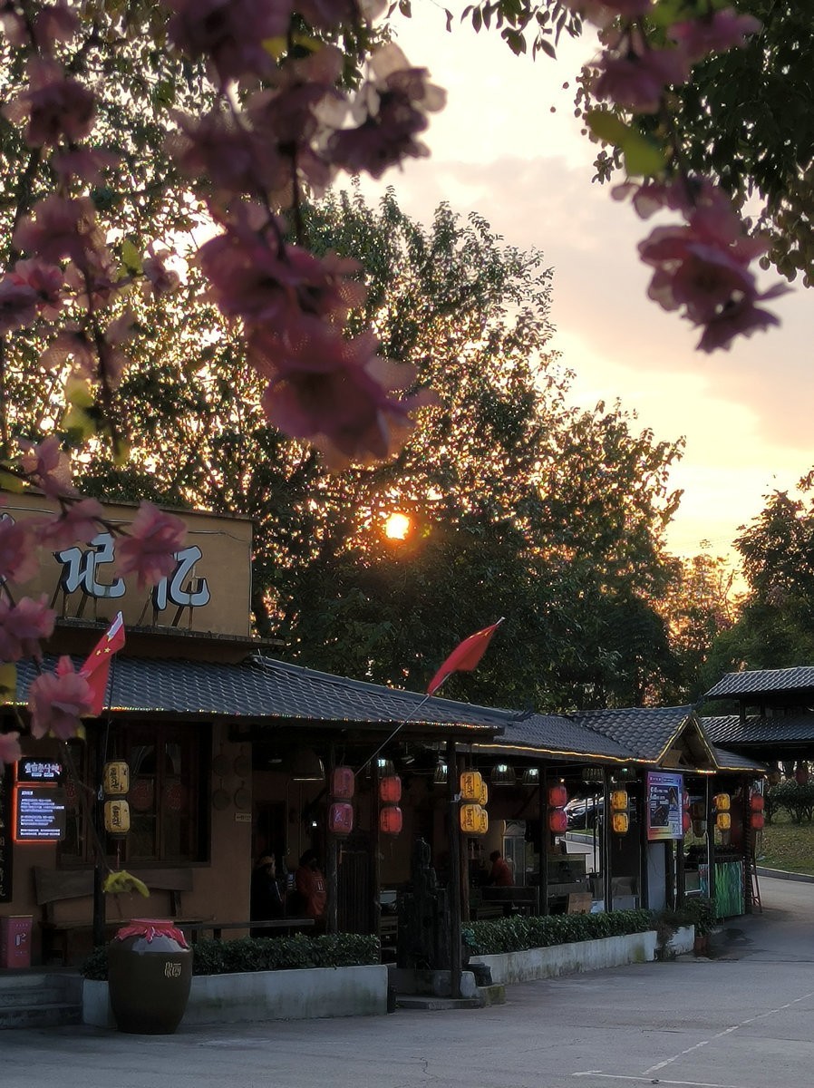 漫步星城 走街串巷（408）户外茶馆