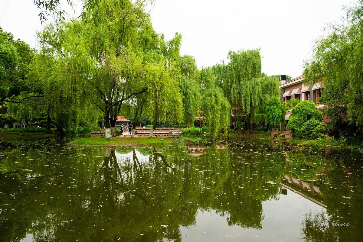 【长沙之行】橘子洲头