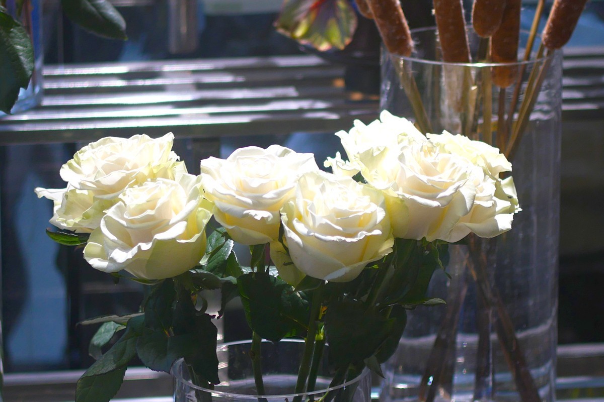 G100--一组鲜花 (上)