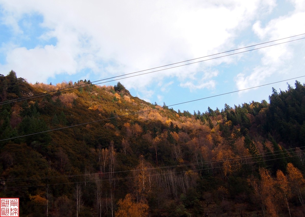 2024.11寻秋（42）