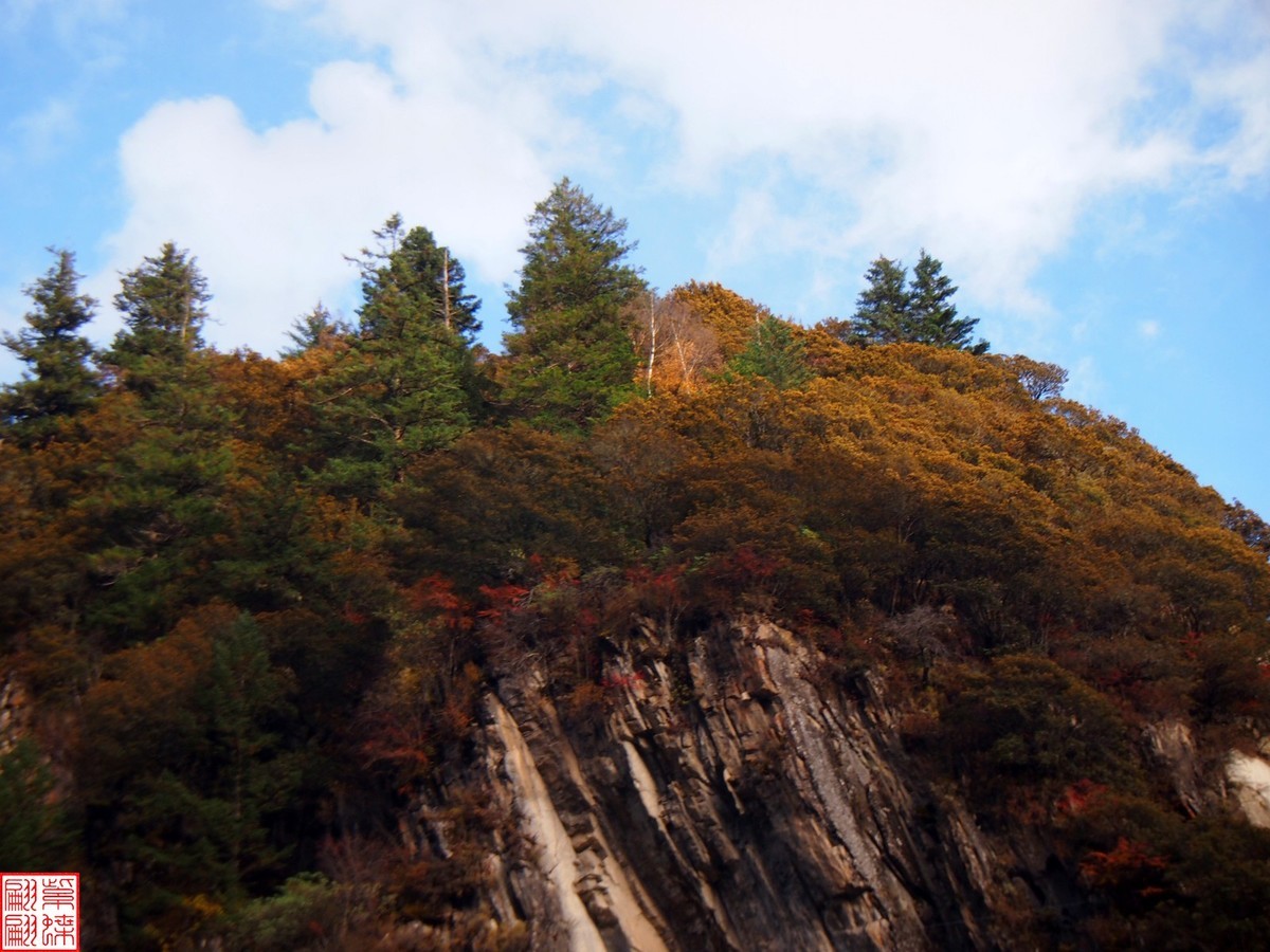 2024.11寻秋（42）