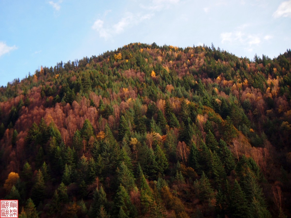 2024.11寻秋（42）