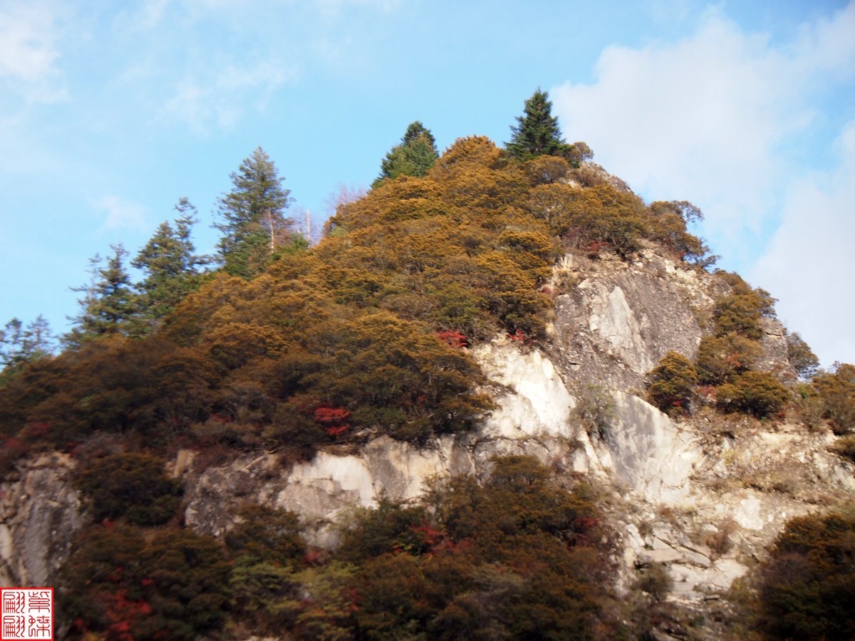 2024.11寻秋（42）