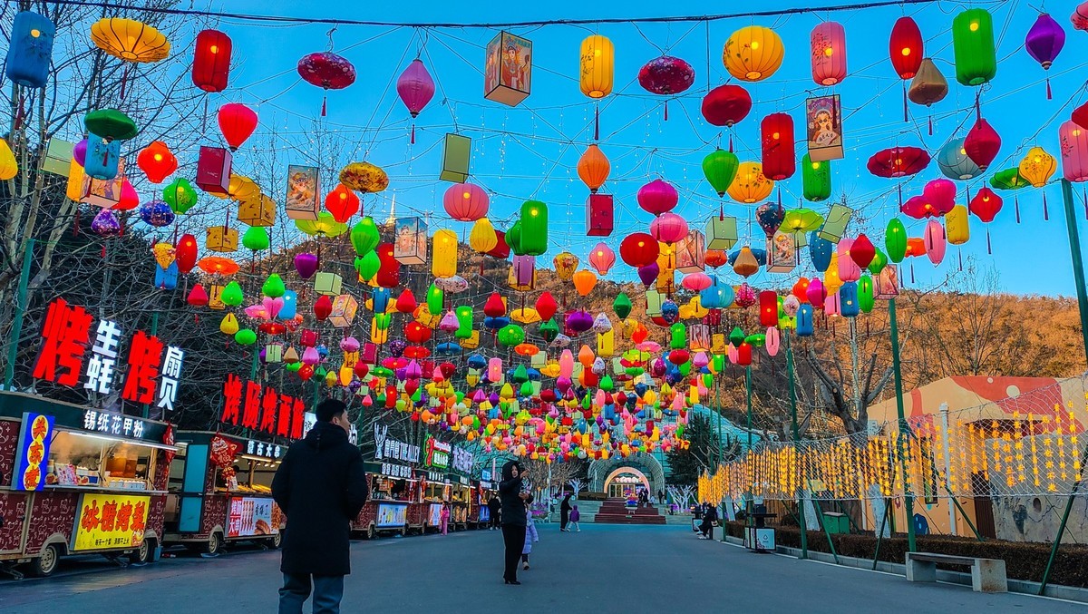 25 年 大 连 森 林 动 物 园 迎 春 灯 会 （ 七 ）