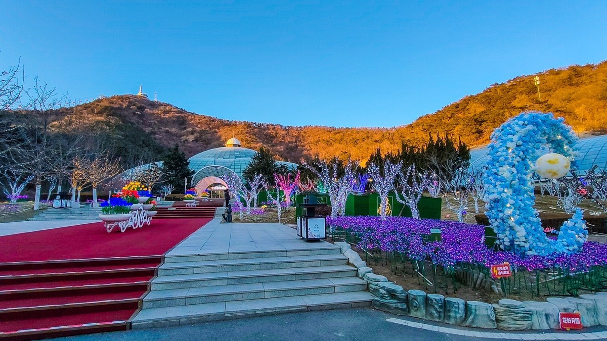 25 年 大 连 森 林 动 物 园 迎 春 灯 会 （ 七 ）