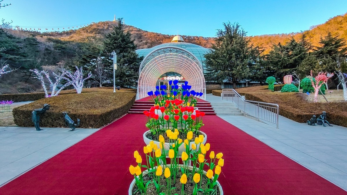 25 年 大 连 森 林 动 物 园 迎 春 灯 会 （ 七 ）