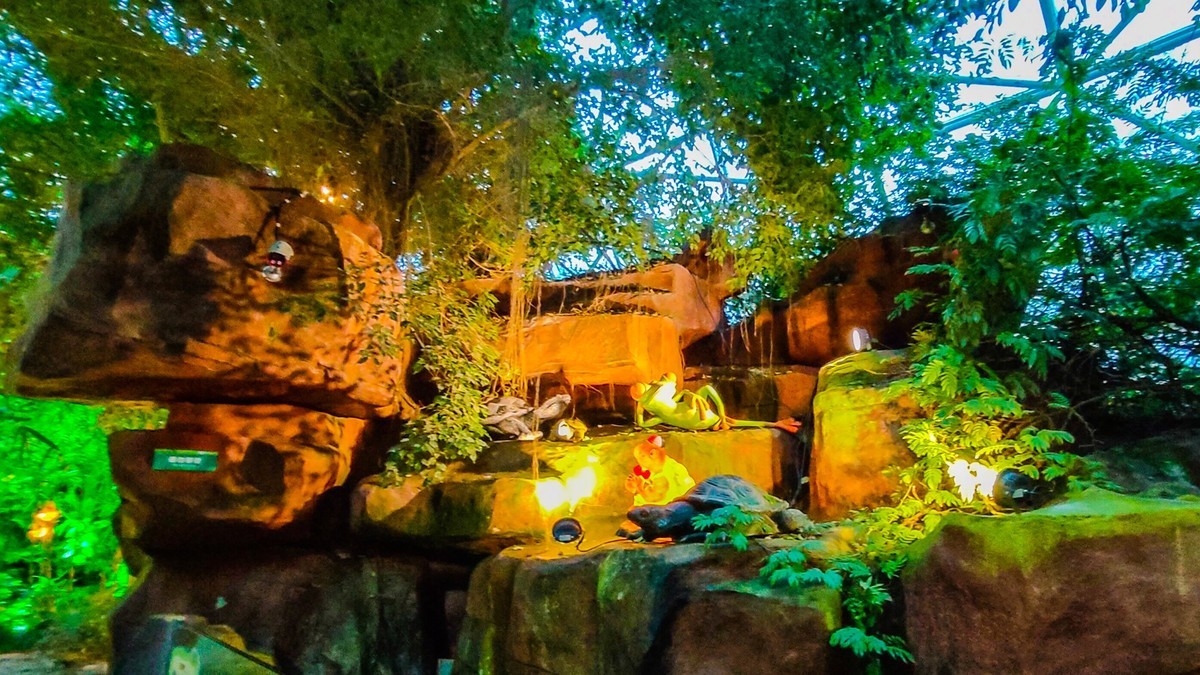 25 年 大 连 森 林 动 物 园 迎 春 灯 会 （ 七 ）