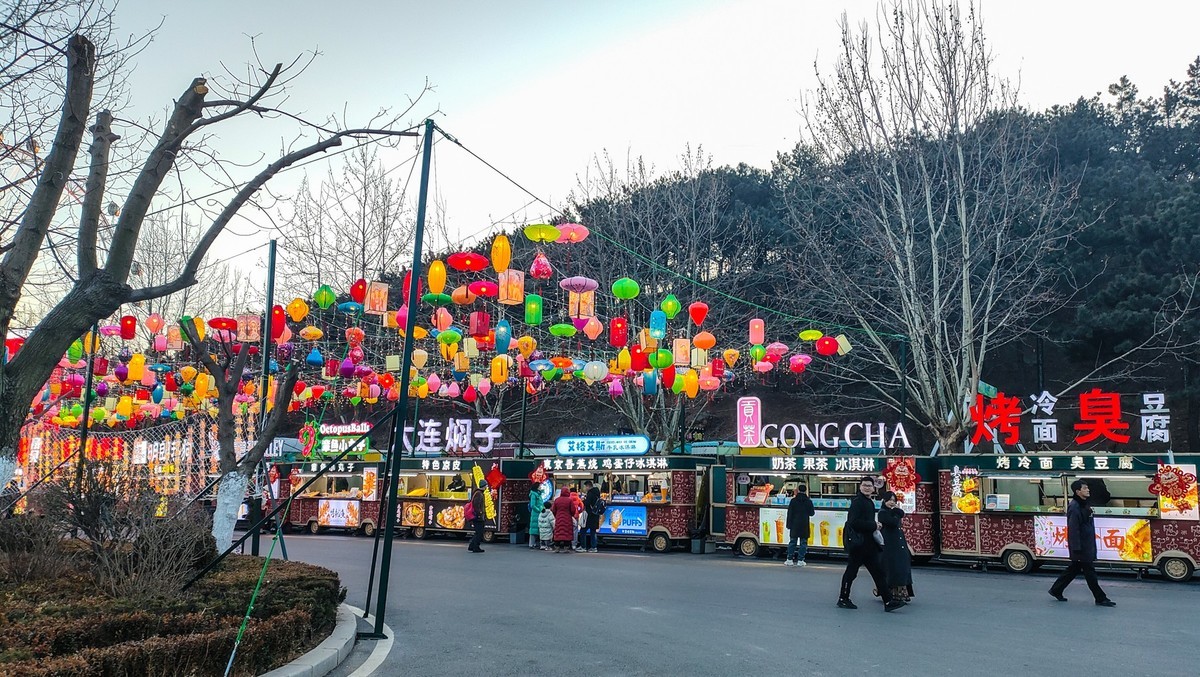 25 年 大 连 森 林 动 物 园 迎 春 灯 会 （ 七 ）