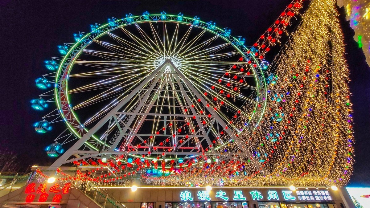 25 年 大 连 森 林 动 物 园 迎 春 灯 会 （ 七 ）