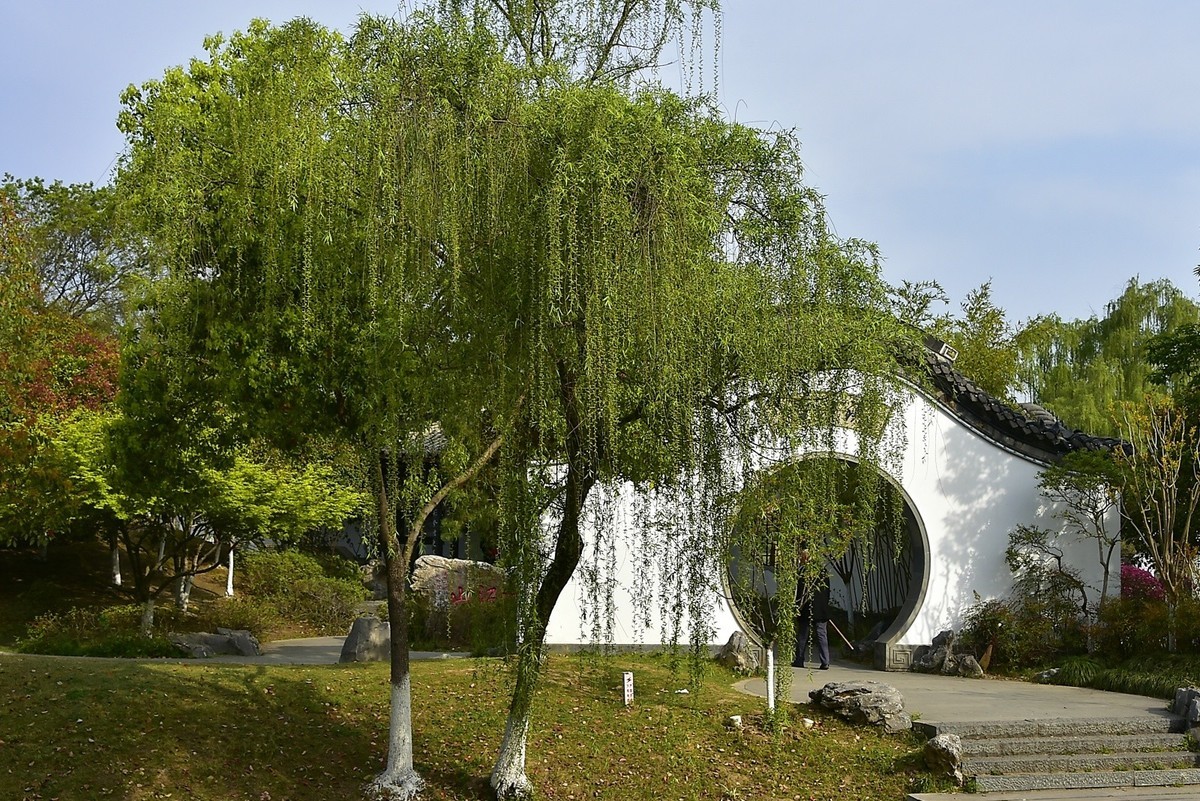 春季随拍园博园