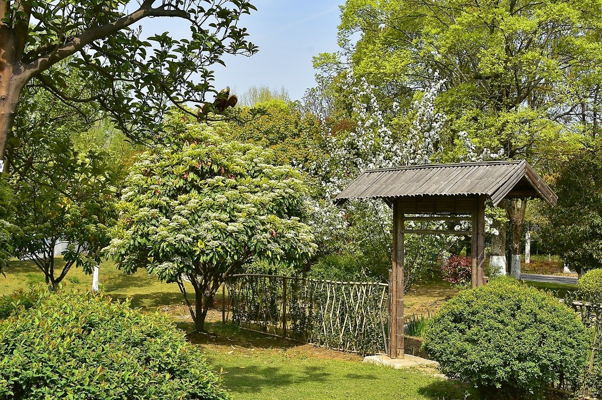 春季随拍园博园