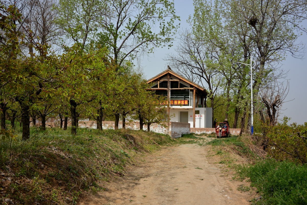 秦岭山麓看到的