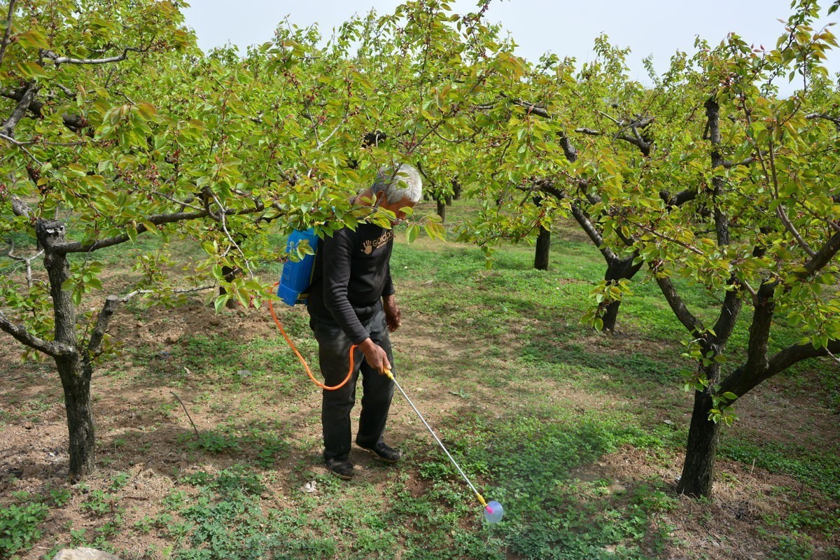秦岭山麓看到的