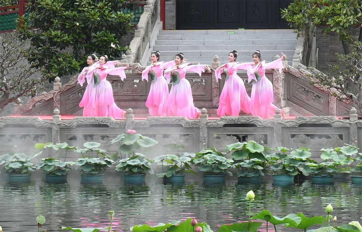 轻歌曼舞（一）