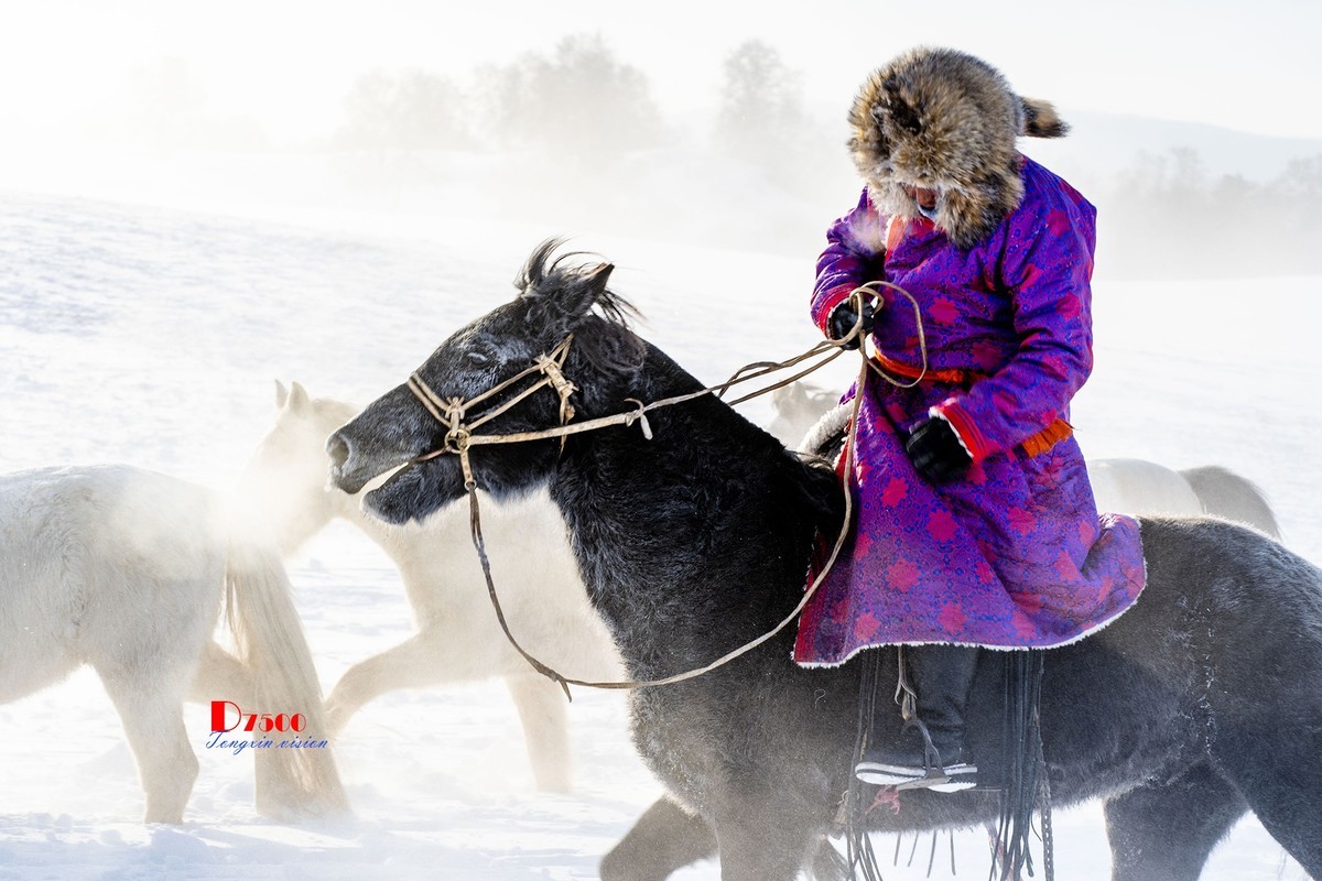 强健&靓丽的牧马人（72）