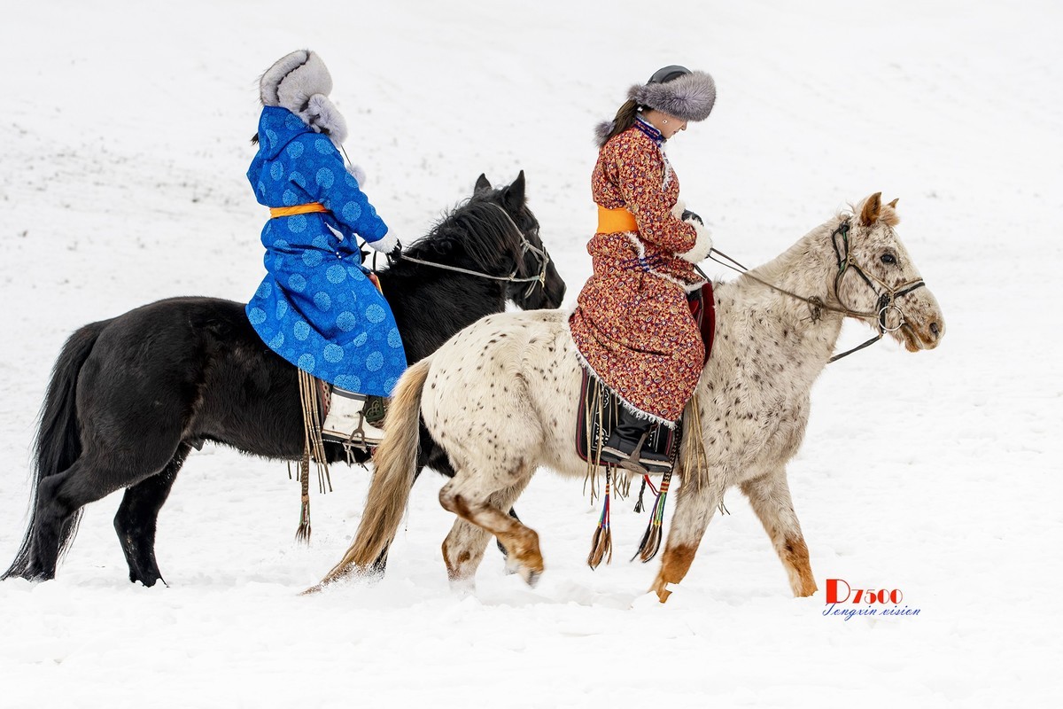 强健&靓丽的牧马人（72）