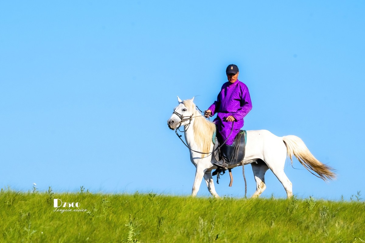 马背上的风采（8）