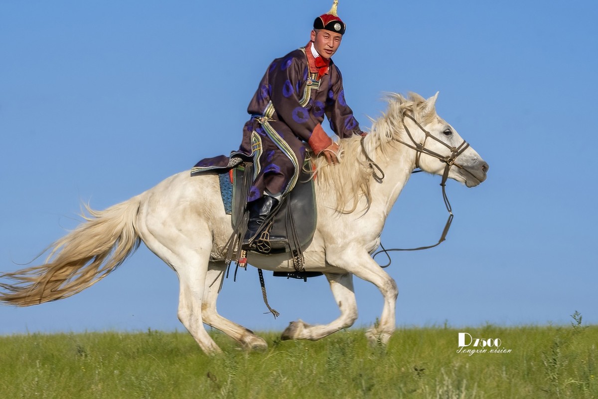 马背上的风采（8）