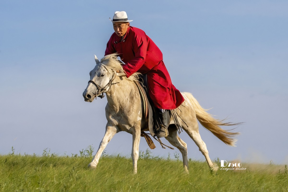 马背上的风采（8）