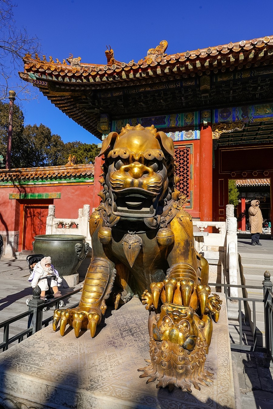 2025年第0282贴-故宫博物院游拍（0501）