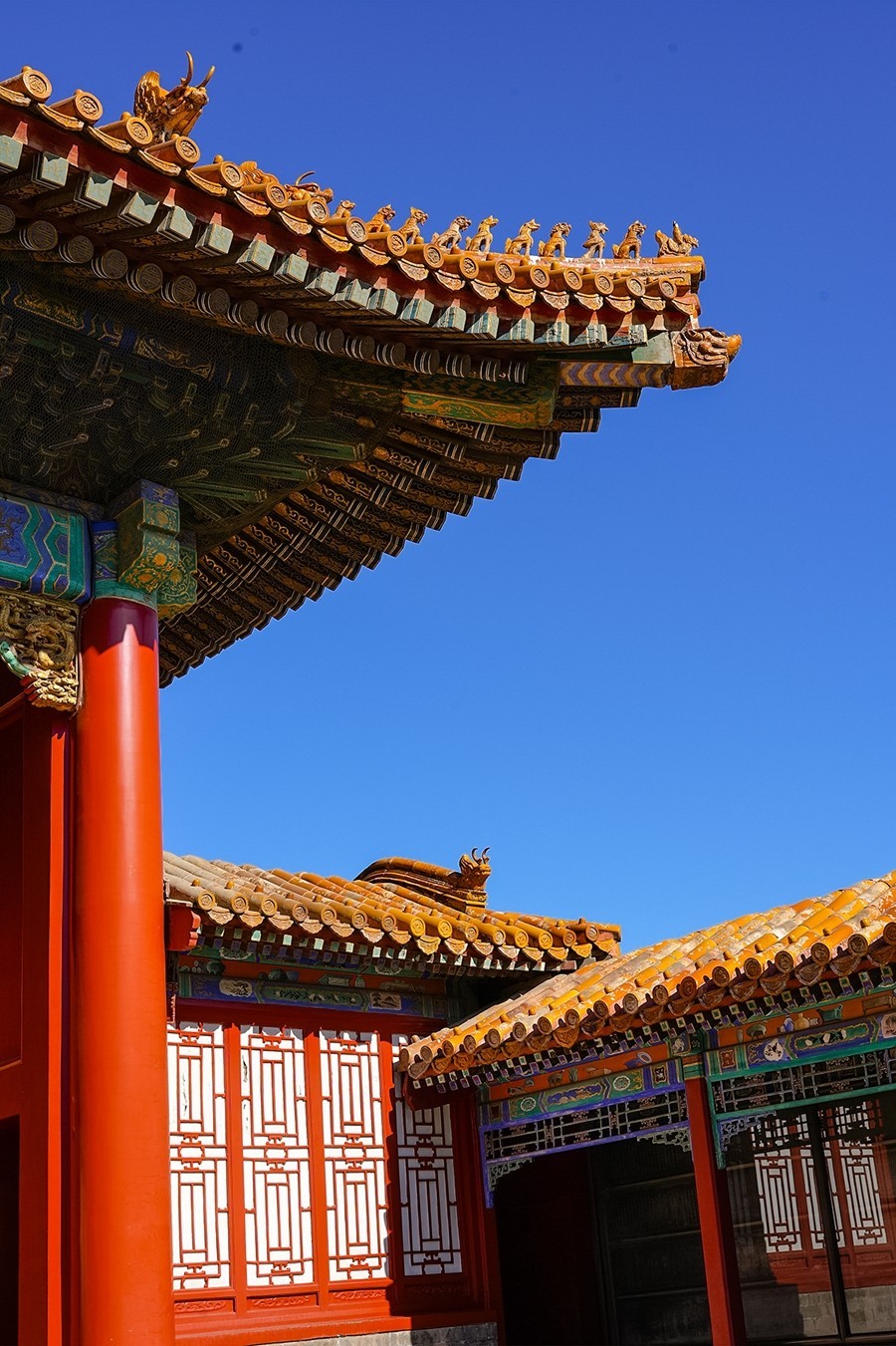 2025年第0282贴-故宫博物院游拍（0501）