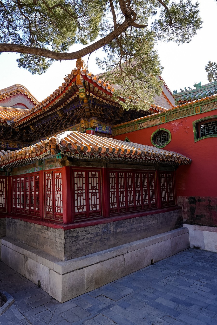 2025年第0282贴-故宫博物院游拍（0501）