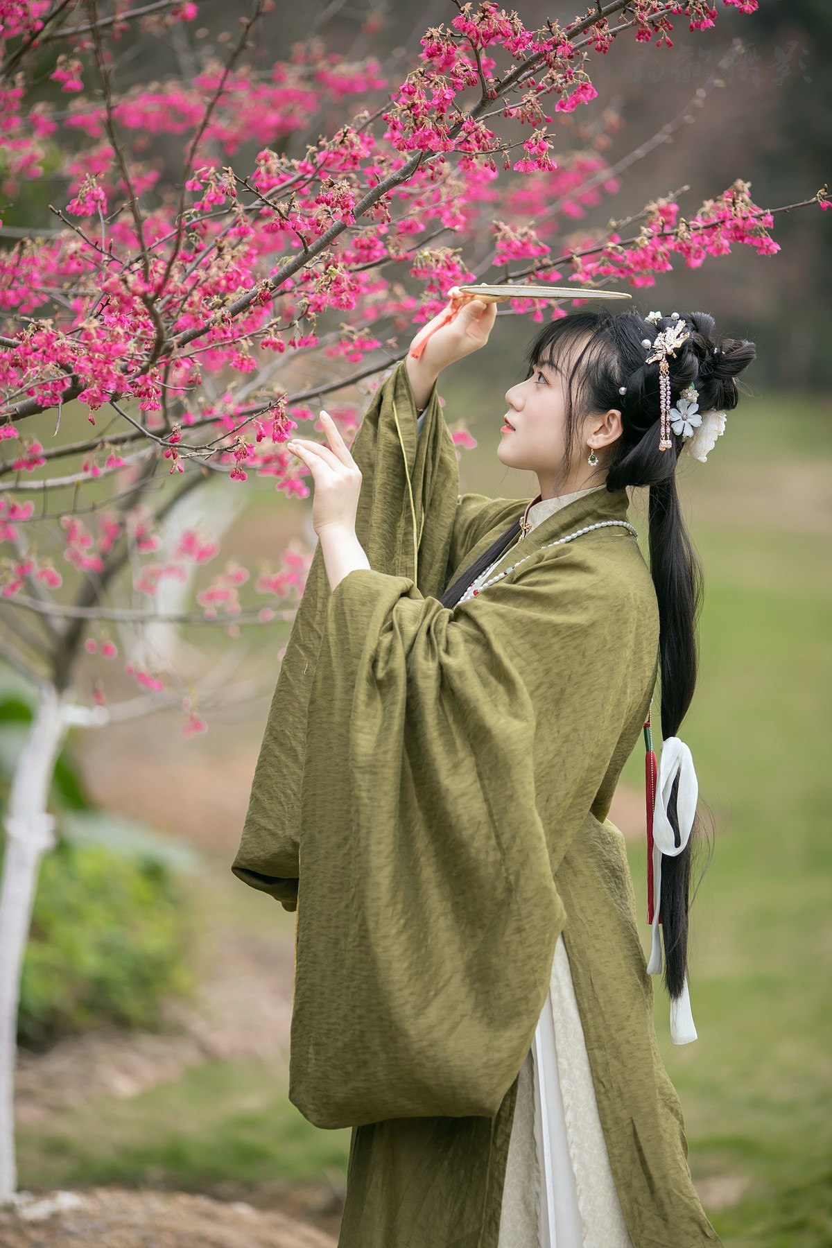 樱桃落尽春将困