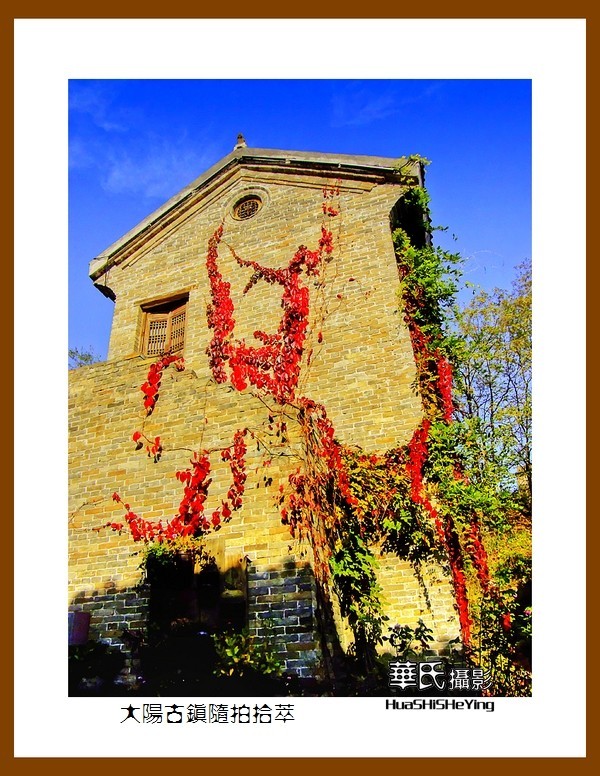 2020西西南北行游走山西080——大阳古镇随拍拾萃（晋城市泽州县）