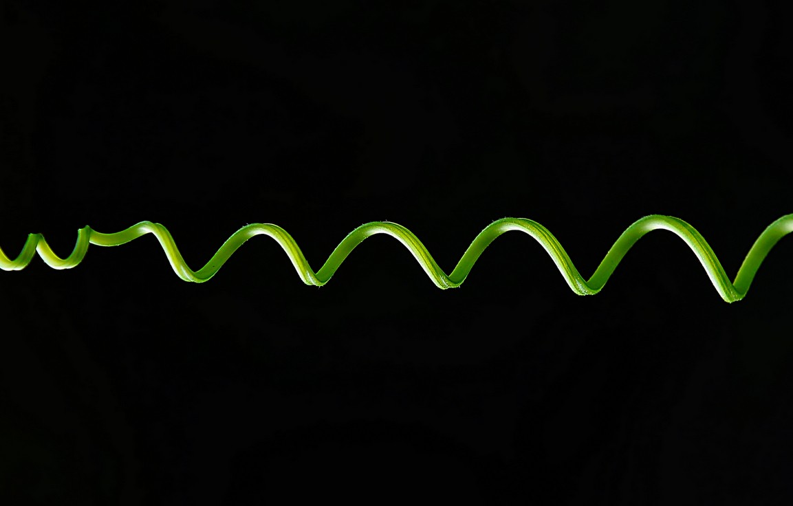 祝贺——花样年华任——60D星空(中国)版主，希望尽快走马上任把60D带的更红火昌盛活跃