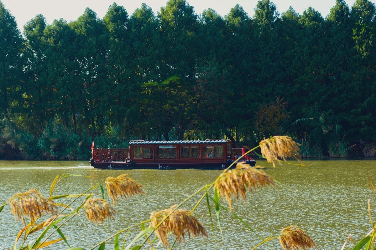 苏州太湖湿地公园秋景