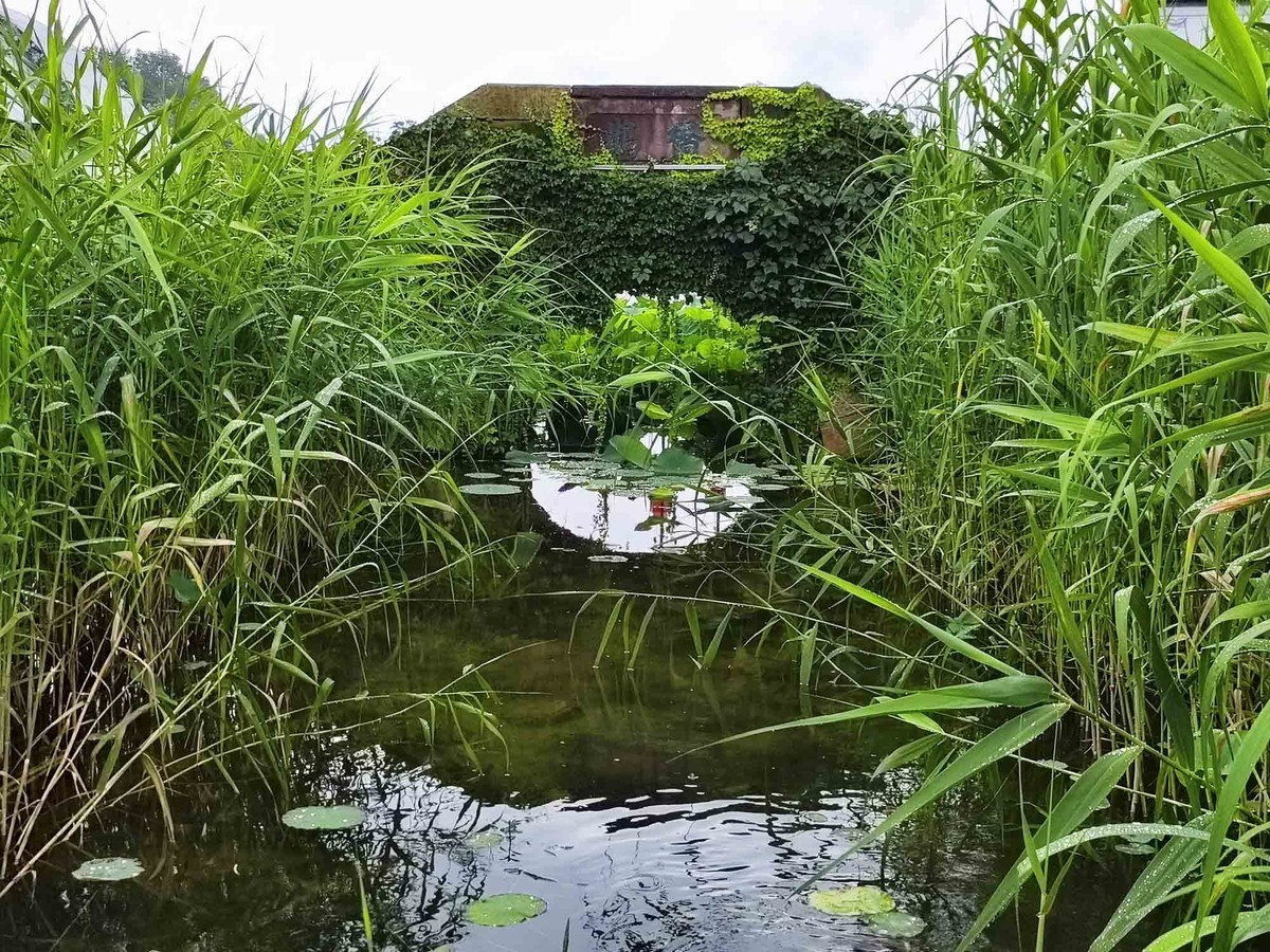 江西............新余仙女湖景区的七夕老街