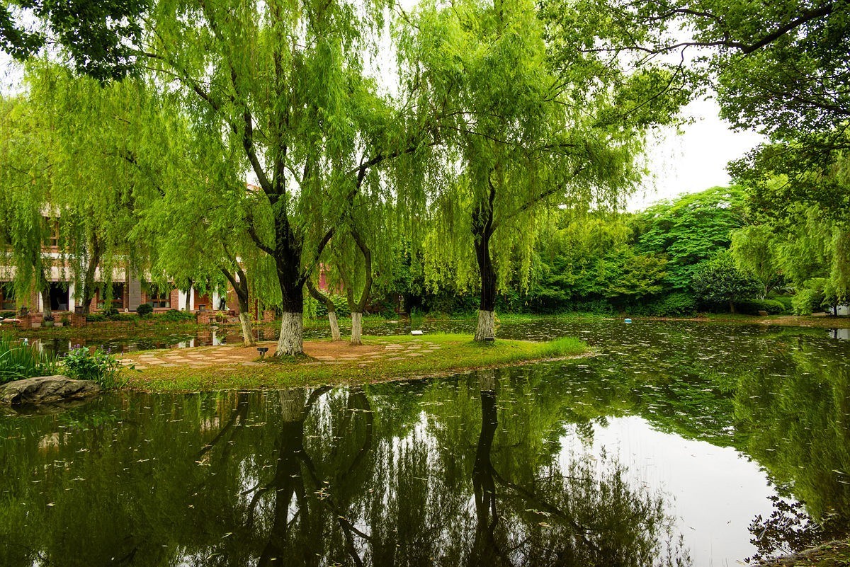 【长沙之行】橘子洲头