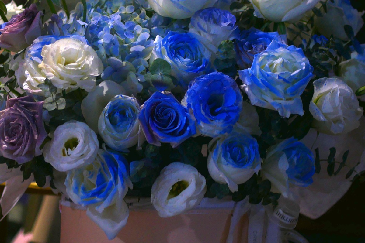 G100--一组鲜花 (上)