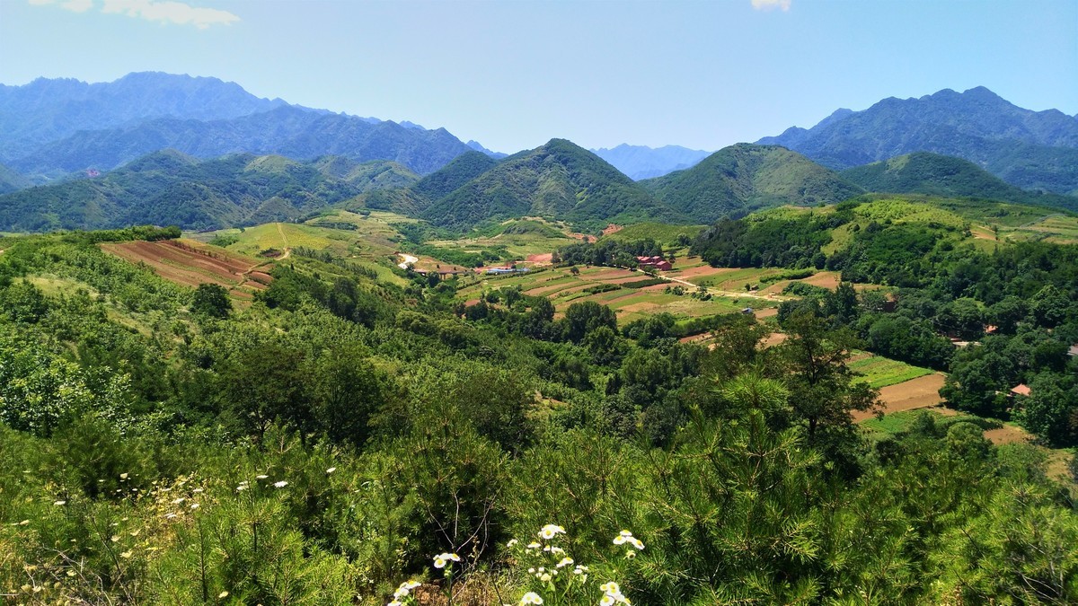 关中的普罗旺斯  蓝田鲍旗寨