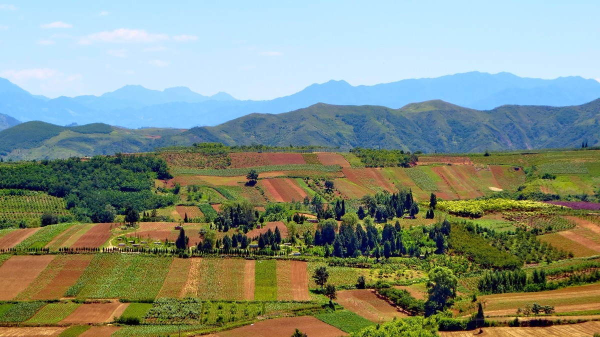 关中的普罗旺斯  蓝田鲍旗寨