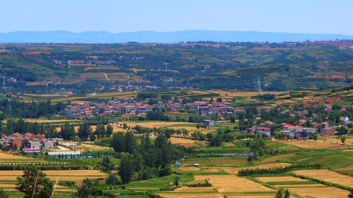 关中的普罗旺斯  蓝田鲍旗寨