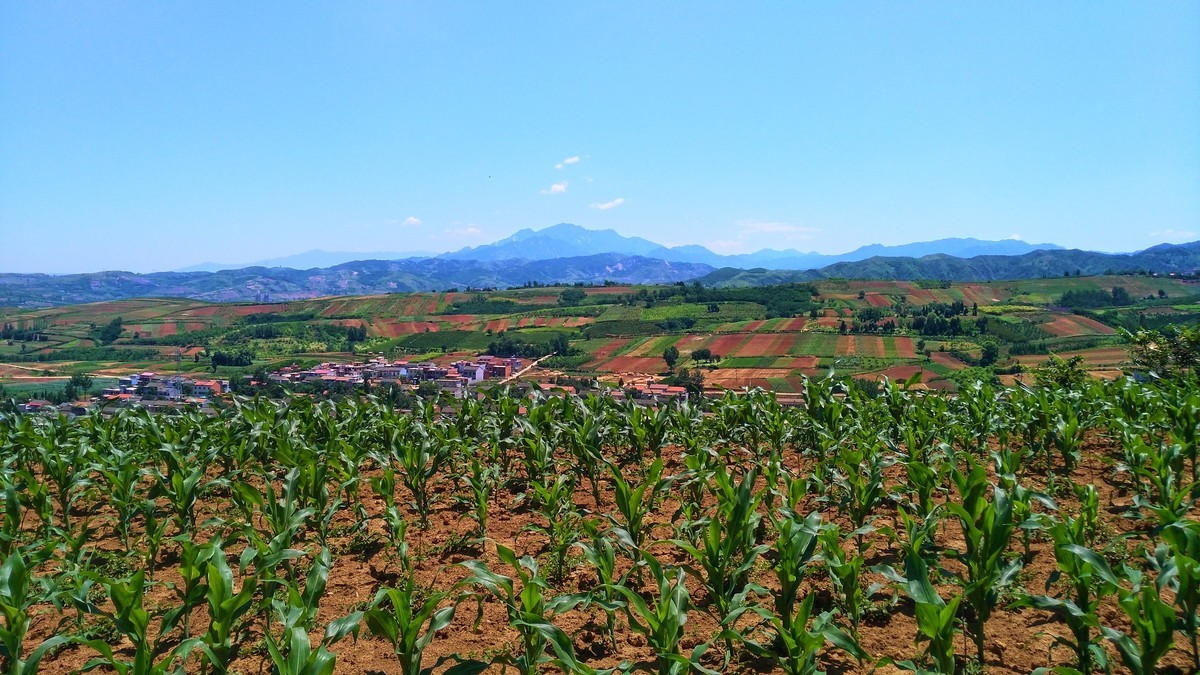 关中的普罗旺斯  蓝田鲍旗寨