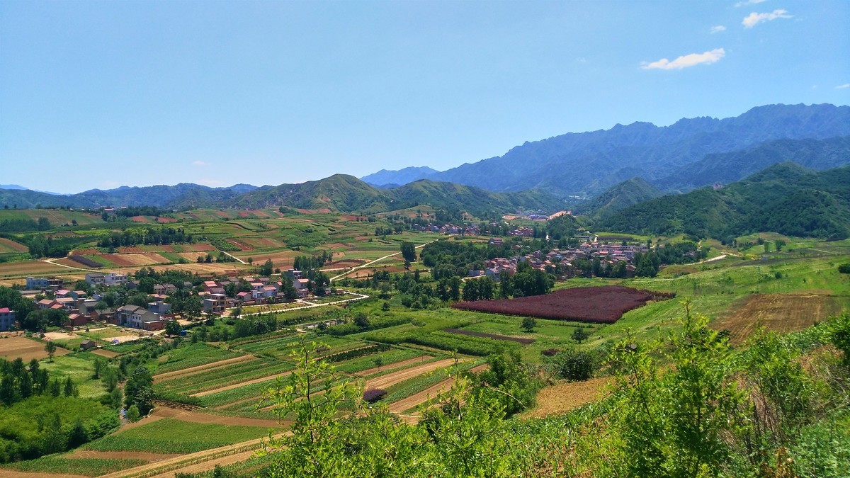 关中的普罗旺斯  蓝田鲍旗寨