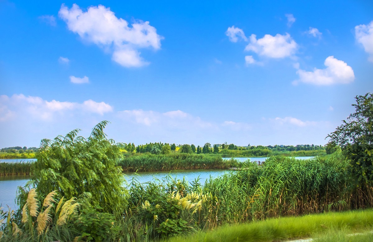 北湖湿地公园扬州图片