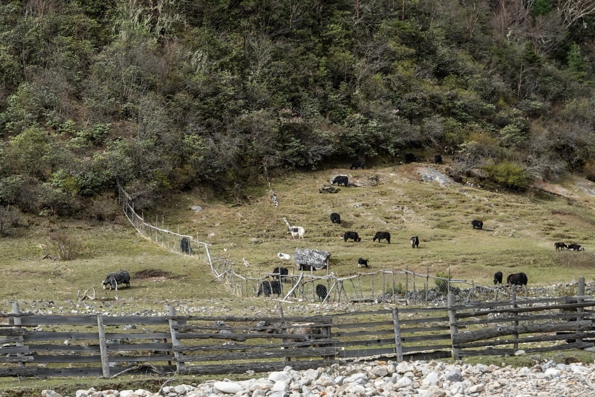 西行散论——蔡隅至蔡瓦龙公路风光