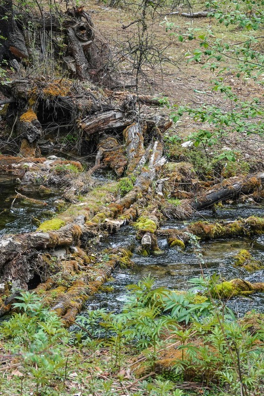 西行散论——蔡隅至蔡瓦龙公路风光