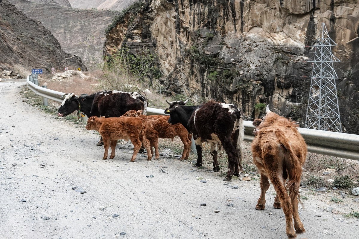 西行散论——蔡隅至蔡瓦龙公路风光