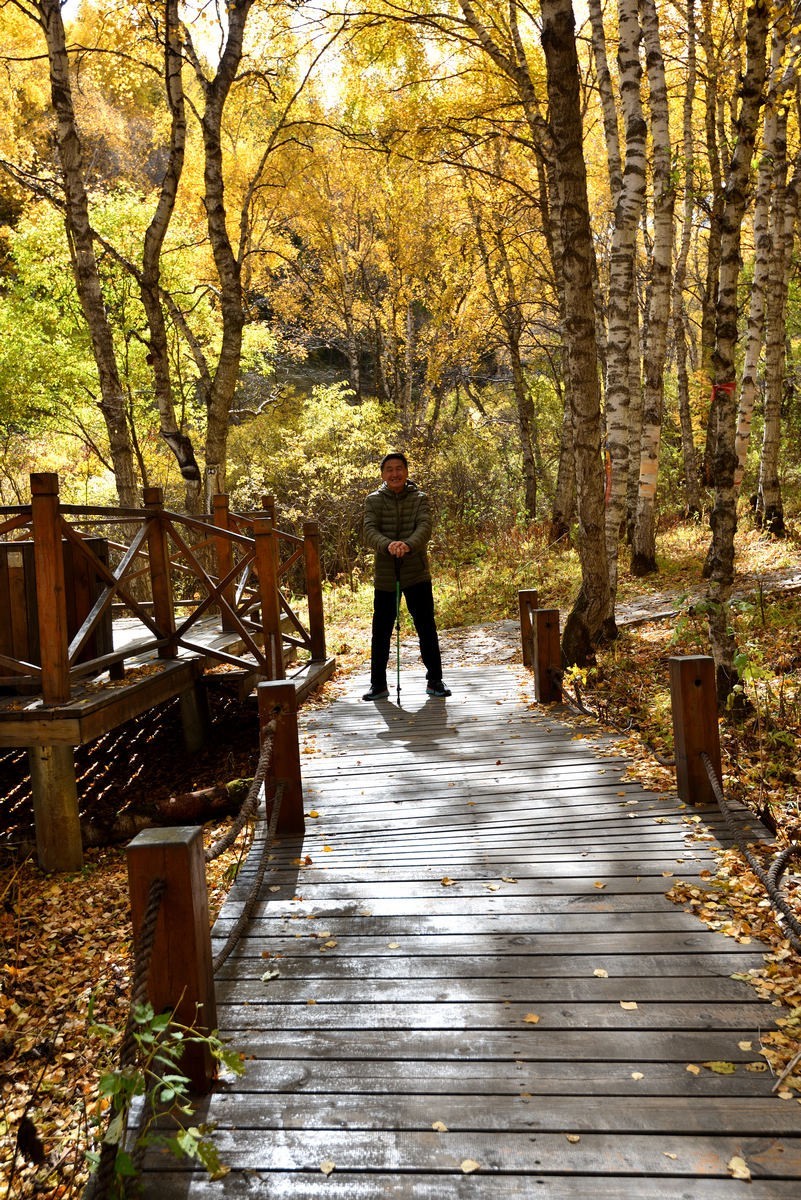 崇礼---翠云山秋色      1/2