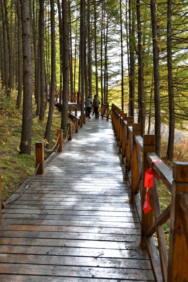 崇礼---翠云山秋色      1/2