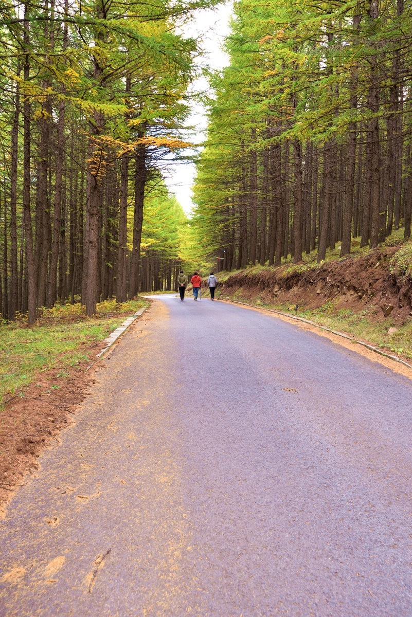 崇礼---翠云山秋色      1/2