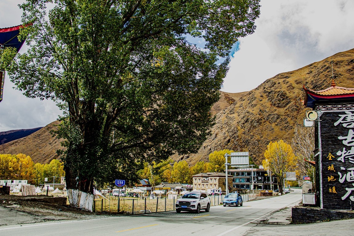秋行川西高原--新都桥路拍【3】